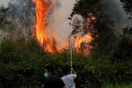 The Wider Image: Indonesia's firefighters on frontline of Borneo's forest blazes