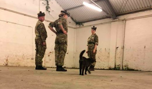 Standing fur attention: Inspecting the local barracks. (Facebook)