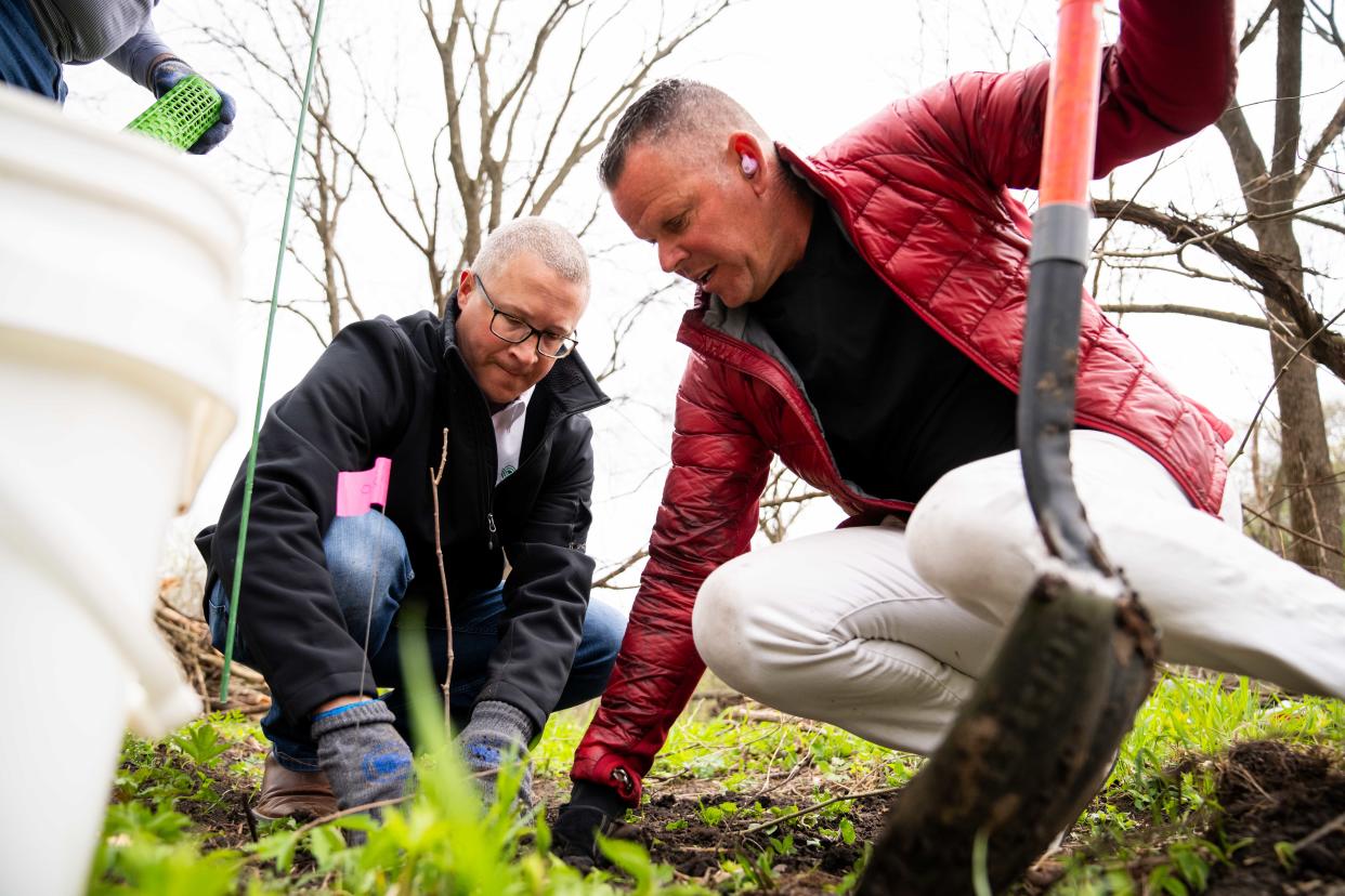 Grant Menke and Doug Roozeboom plant Swamp White Oak trees Monday, April 22, 2024, at Strasser Woods in Des Moines.