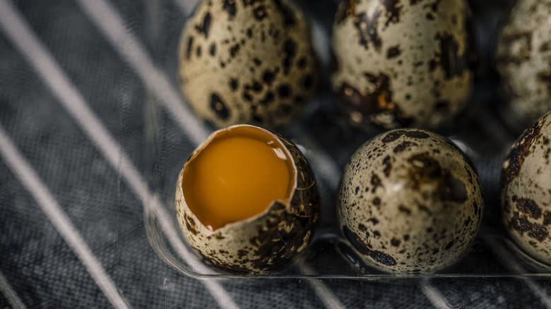 open quail eggs
