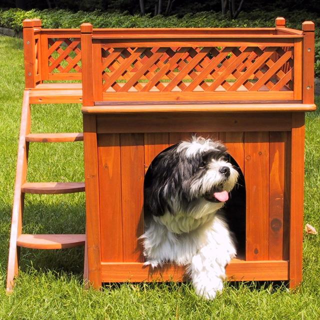 Wayfair  Dog Houses You'll Love in 2024