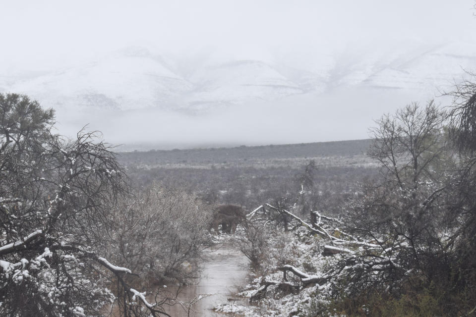 <em>Snow mountain – Sneeuberg aptly translates to ‘snow mountain’ (Picture by Kitty Viljoen/Caters News)</em>