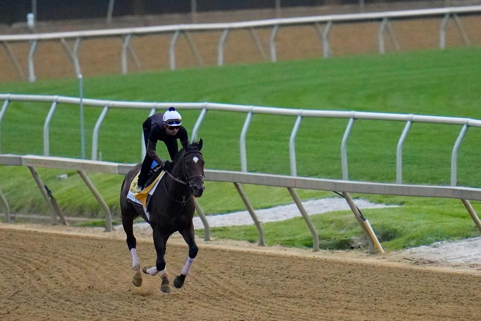 Preakness Stakes entrant Blazing Sevens works out on Wednesday ahead of the 148th running of the Preakness Stakes horse race at Pimlico Race Course in Baltimore.