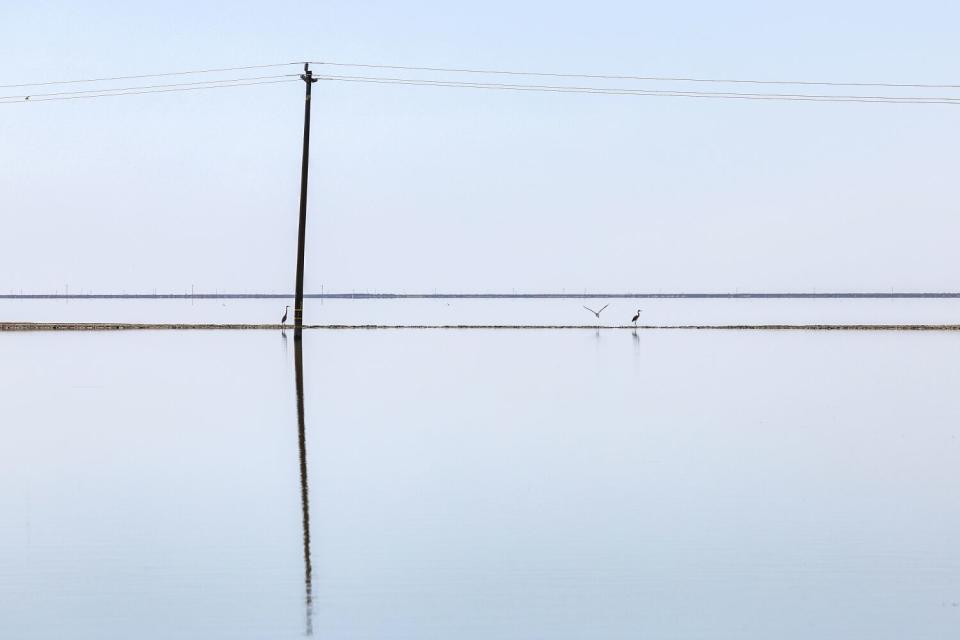 The sun's reflects off the still waters of Tulare Lake across a vast horizon.