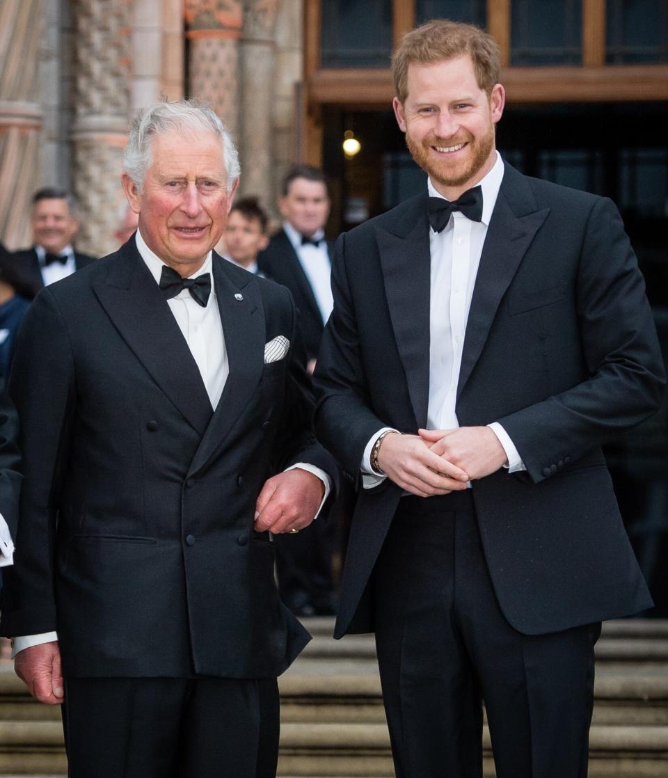 Prince Charles and Prince Harry Tuxedos Smiling 2019 Premiere of "Our Planet"