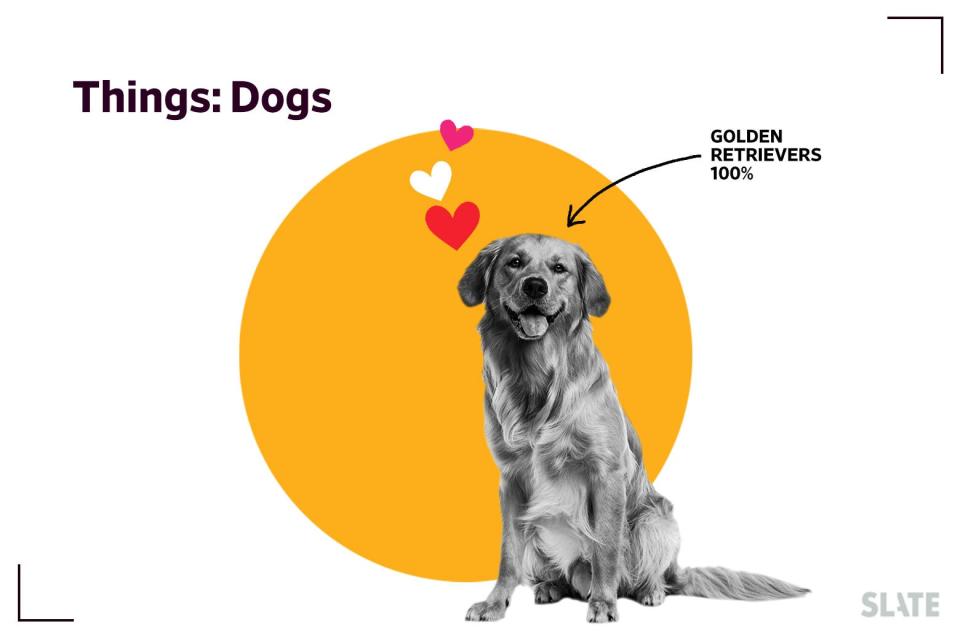 A pie chart of dogs mentioned on The Tortured Poets Department.