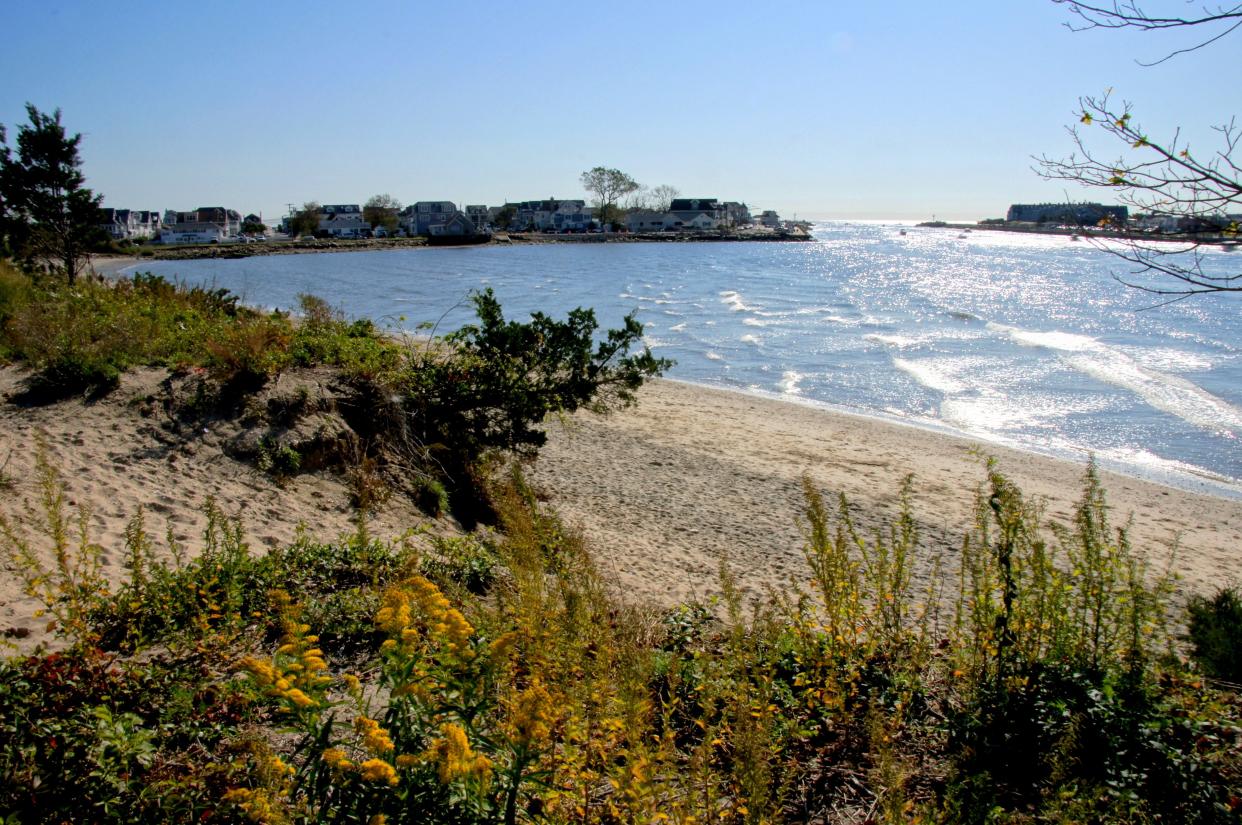 Fisherman’s Cove Conservation Area is a great place to fish, walk on the beach or go sunbathing. Dogs are welcome, but they must be on a leash.