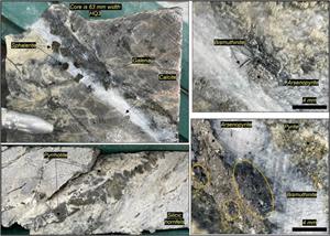 Intermediate sulphidation veins in silicified hornfels of BREDD002. (Click here to view image)