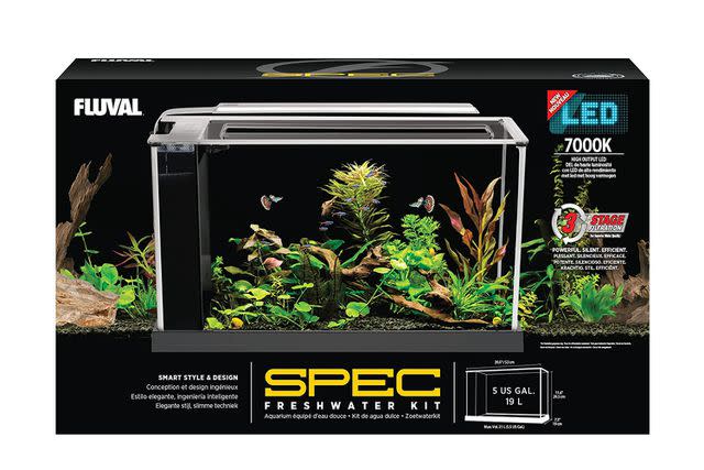 ✓Best Small Fish Tanks 2023 Top 5 : Small Fish Tanks 👌the Best