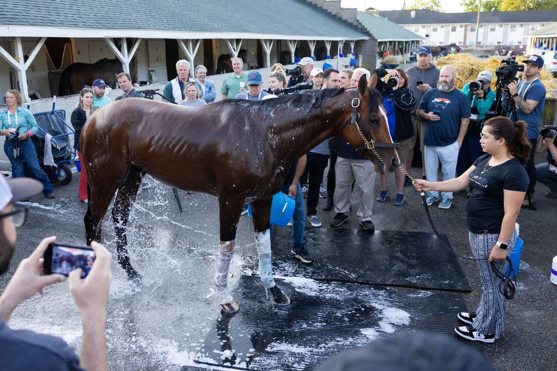 Kentucky Derby winner Mystik Dan gets a bath at Churchill Downs on Sunday morning. “I’ve thought for three weeks he was going to win the race,” trainer Kenny McPeek said. “I had a calm about it. I just did.”