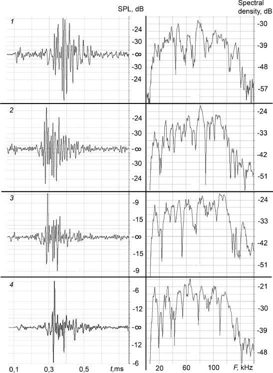 The first four graphs show the NPs produced by the dolphin Yana, and their corresponding amplitude spectra (to the right). Photo: Science direct