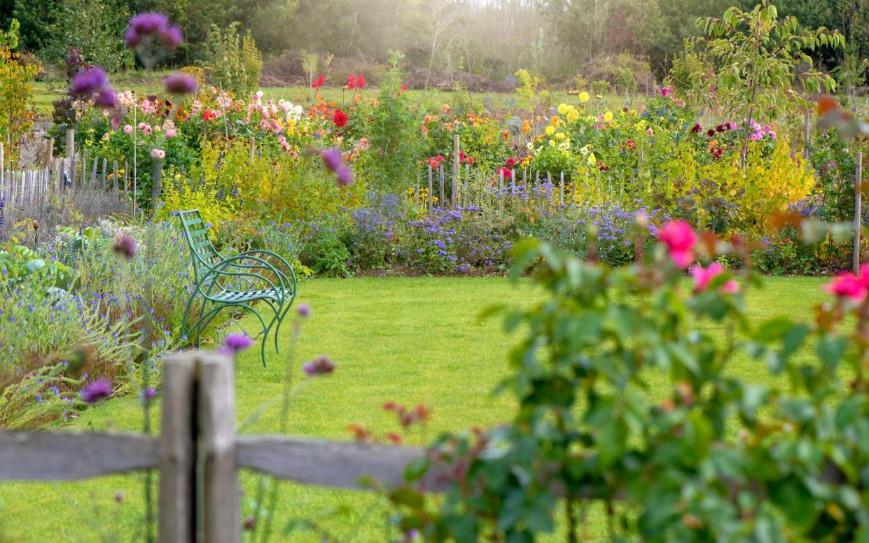 Britain in bloom: a private garden