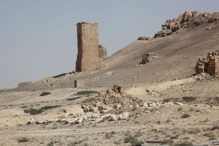 A general view of Palmyra's famous graves is pictured in the historical city of Palmyra May 19, 2015. REUTERS/Stringer