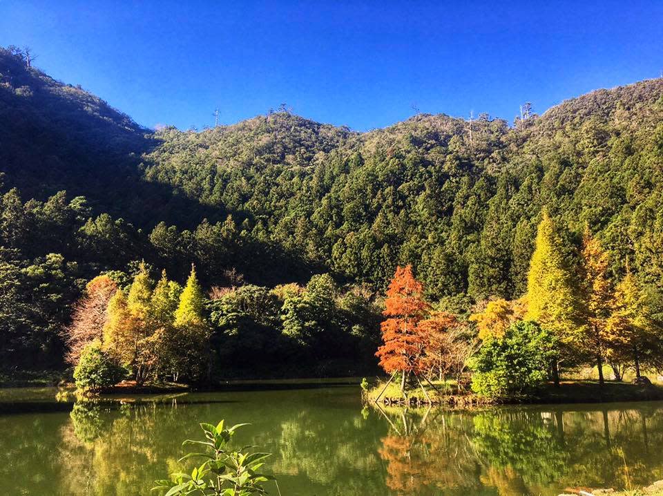 明池國家森林遊樂區（圖片來源：明池國家森林遊樂區）