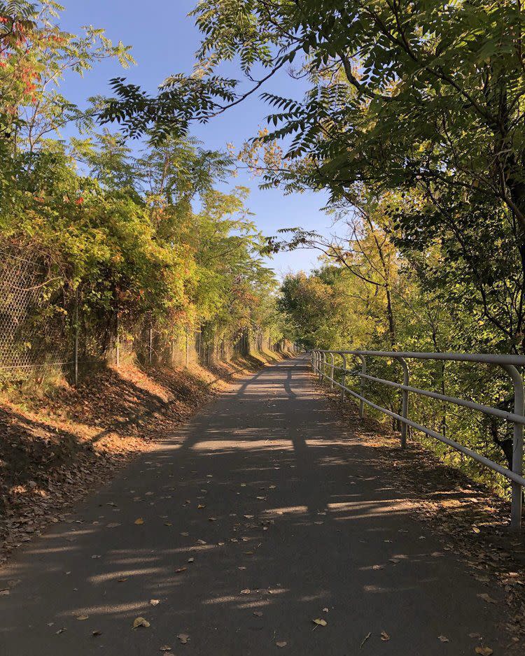 Mohawk-Hudson Hike/Bike Trail