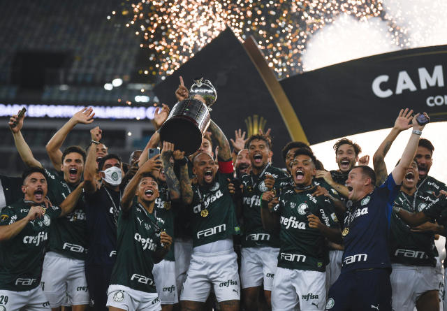 Copa Libertadores: Brazil's Palmeiras win title for second year