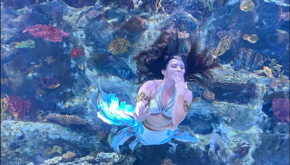 Mermaid blows bubble kiss at Newport Aquarium