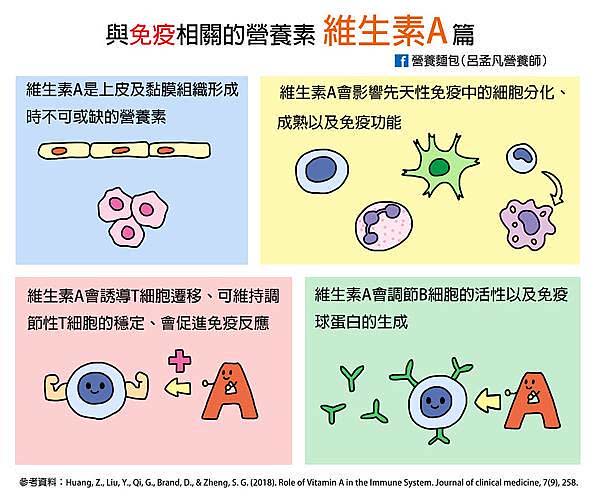 維生素Ａ