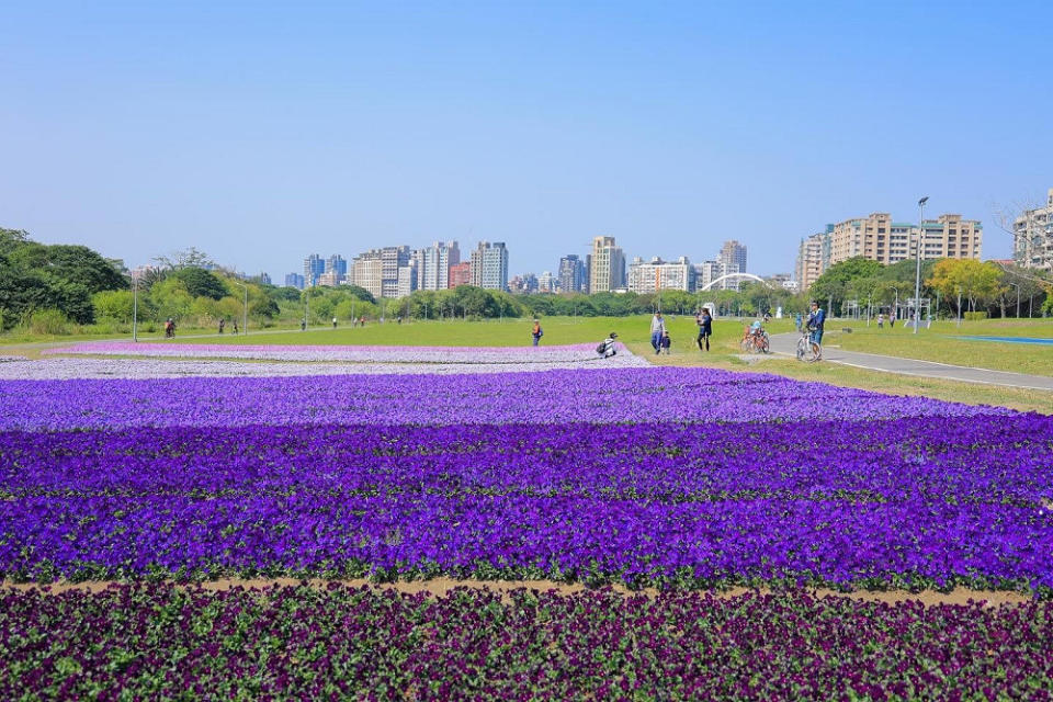 (圖片來源：台北市政府工務局水利工程處)