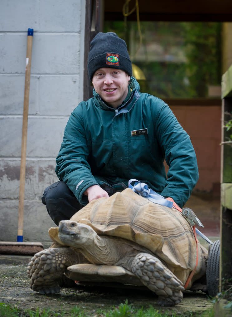 Bert lives at a park in Norfolk (SWNS)