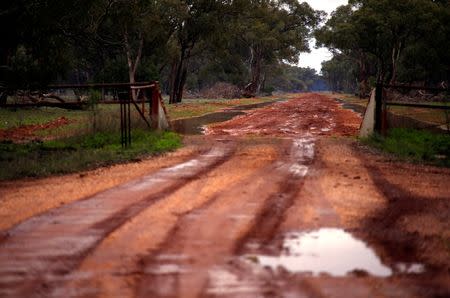 A flooded dirt road is seen near the western New South Wales outback town of Bourke, Australia, June 23, 2016. REUTERS/David Gray