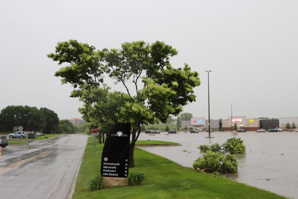 Tree damage is seen in the parking lot of the Coral Ridge Mall Friday, May 24 in Coralville. A string of strong storms swept through the area in the early morning hours.