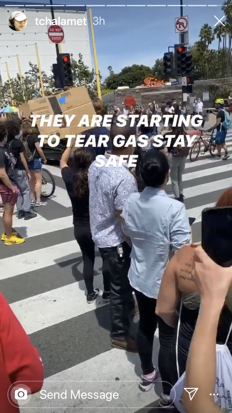 Timothée Chalamet at George Floyd protests