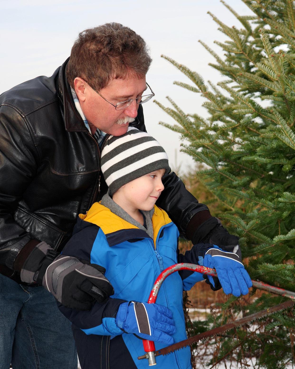 father and son cutting down a Christmas tree