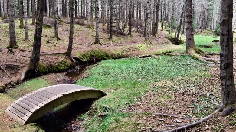 P.E.I. to host National Disc Golf Championships in 2018