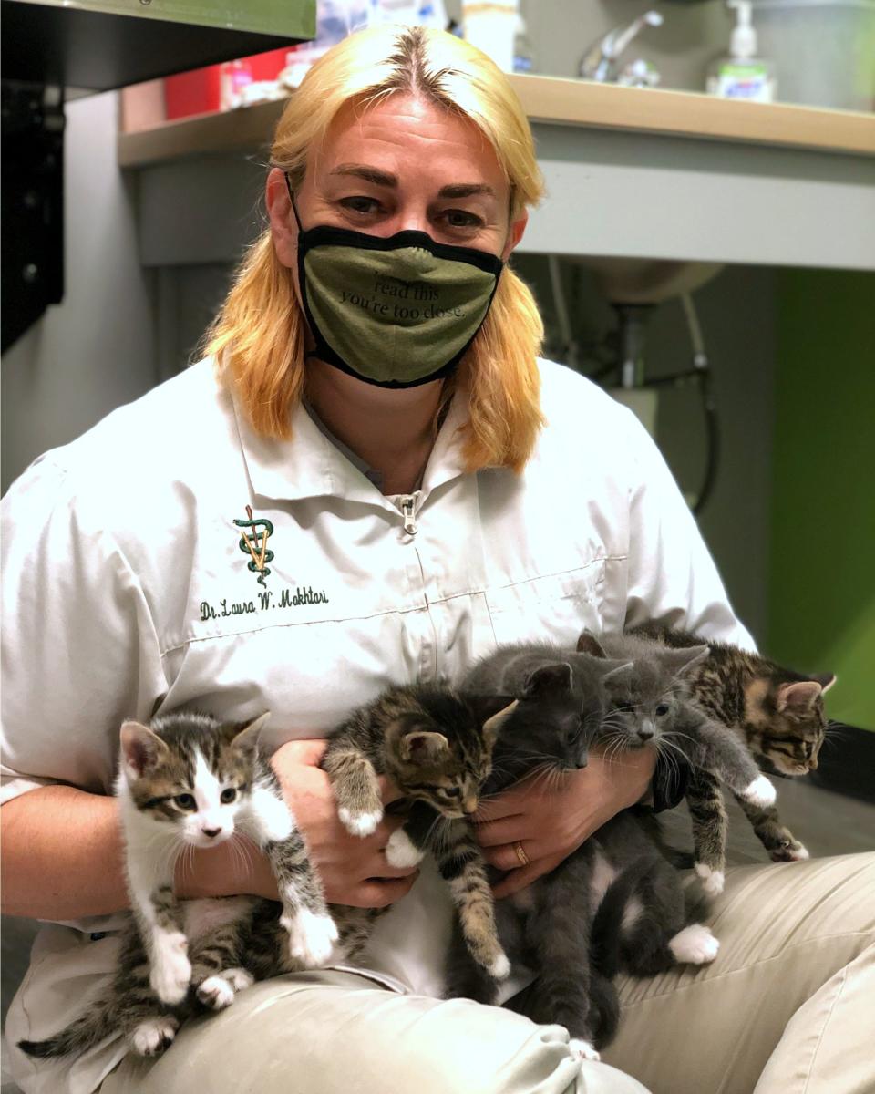 The Pet Community Center in Nashville has a waiting list of nearly 1,000 rescue cats to be spayed or neutered.