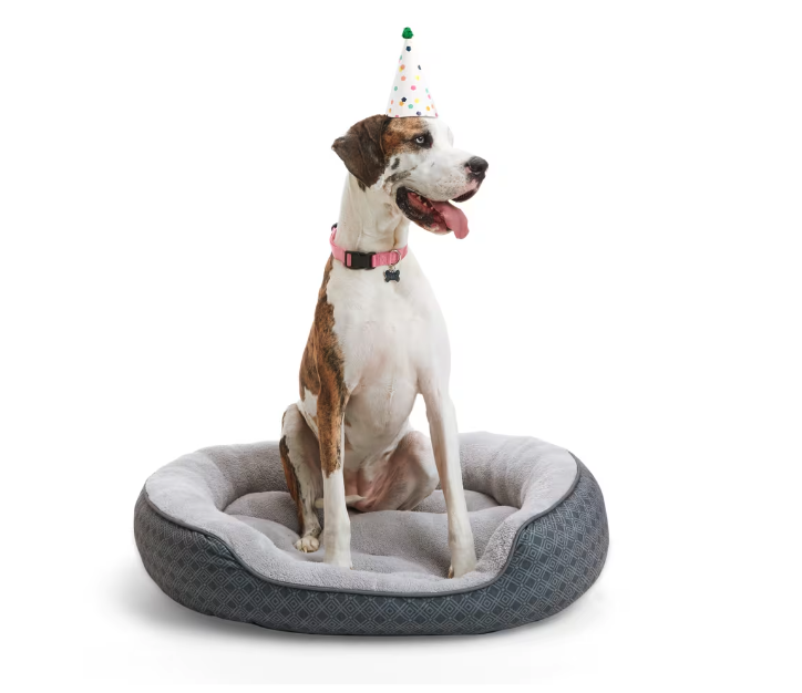 Petco Anti-Slip Round Plush Dog Bed. Image via Canadian Tire.