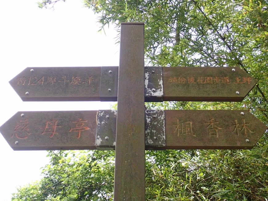 苗栗老崎古道（頭份後花園步道）