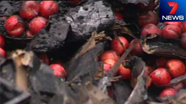 Burnt produce: Truck driver Ken's trailer went up in flames in the early hours of Tuesday morning. Photo: 7News