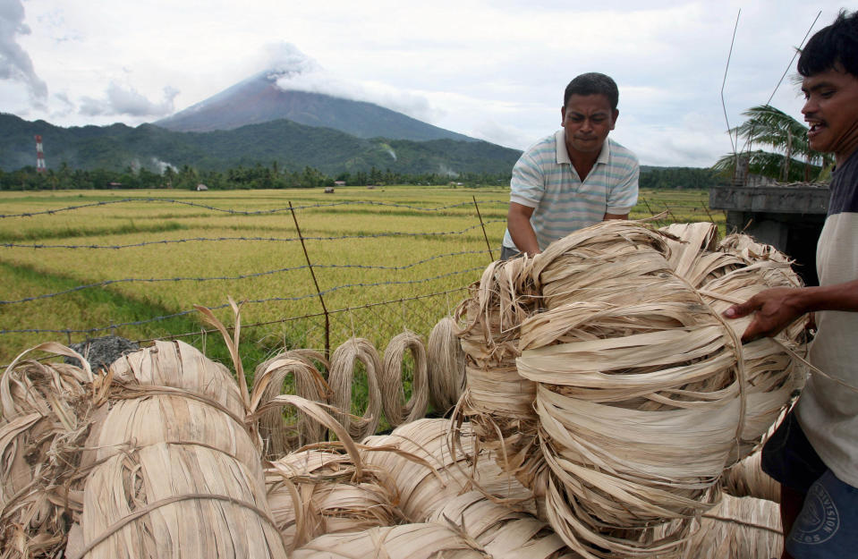 FILE PHOTO: Workers load abaca fiber in a truck as the Mayon volcano remains restive in the background near Legazpi City, south of Manila, August 21, 2006. REUTERS/Cheryl Ravelo (PHILIPPINES)