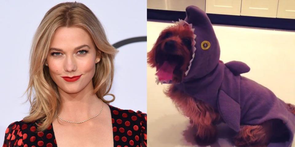 Karlie Kloss' Dog