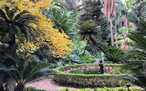 Jardín Botánico - Histórico La Concepción, Malaga, Spain