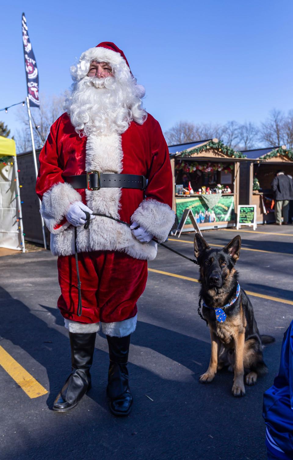 German shepherds are a close second among favorite dog breeds in the United States.