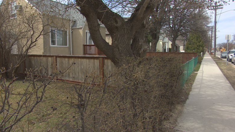 Elderly couple goes without mail delivery for over 5 weeks over safety issue