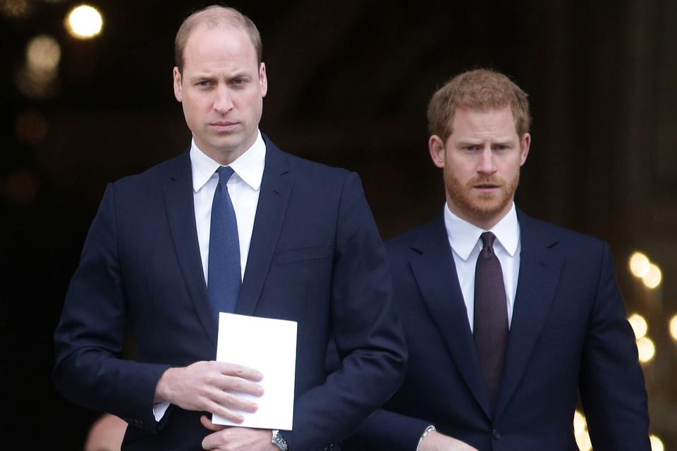 Prince William and Prince Harry