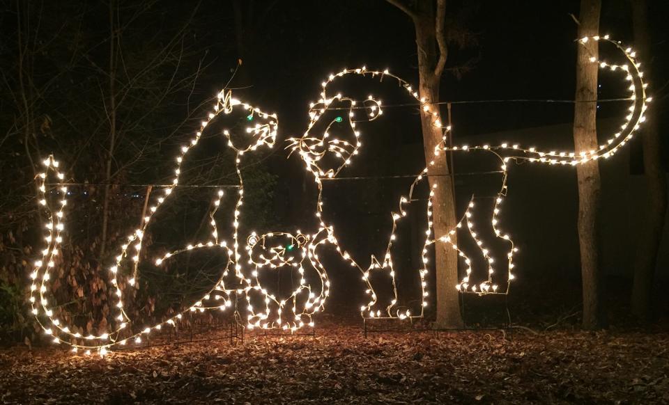 Many of the lights depict animals at the Christmas Lights Festival.