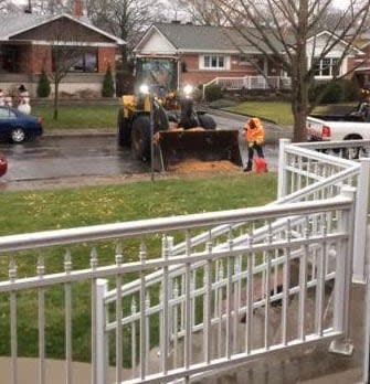 A few years ago, the borough of Saint-Leonard sent a front end loader to pick up the ginkgo seeds from the sidewalk in front of Dino Delisi's home.