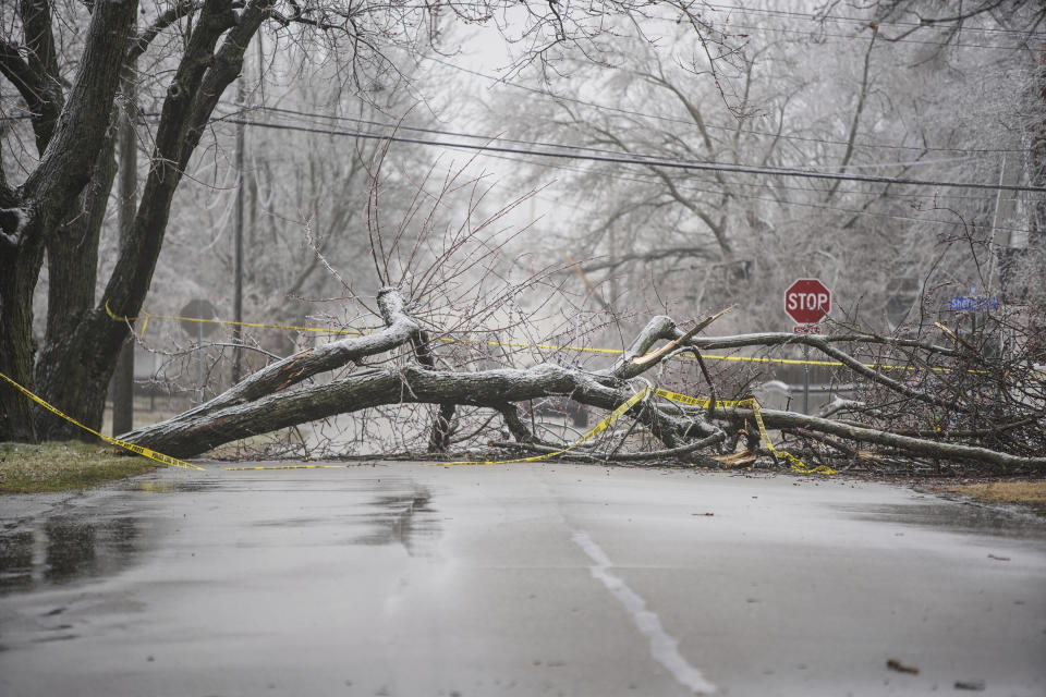 Ice storm damage in the Milwood neighborhood in Kalamazoo, Mich., on Thursday, Feb. 23, 2023. (Rodney Coleman-Robinson/MLive.com/Kalamazoo Gazette via AP)