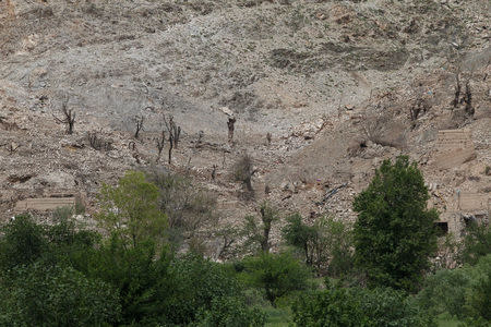 Burn trees are seen the site of a MOAB, or ''mother of all bombs'', which struck the Achin district of the eastern province of Nangarhar, Afghanistan April 23, 2017. REUTERS/Parwiz