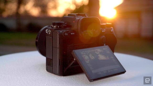 Sony A1 review: The Alpha of mirrorless cameras