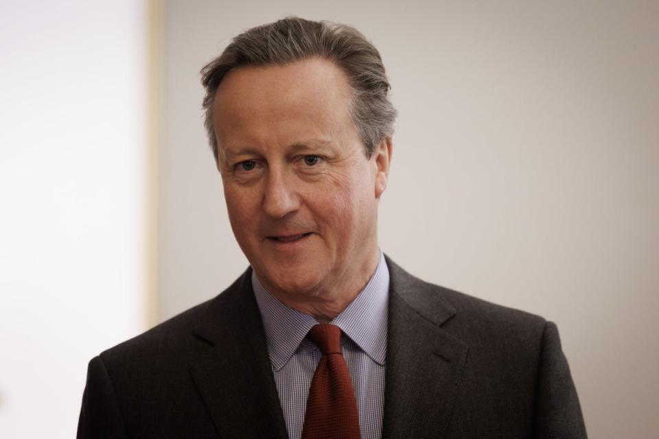 Lord Cameron urged the Israeli government to ‘stop and think seriously’ before invading Rafah (PA)