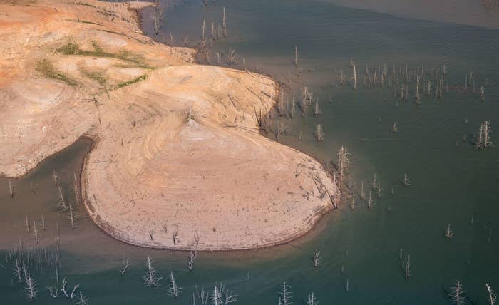 There is exposed land worn smooth by the water, as well as countless dead trees that normally wouldn't be visible