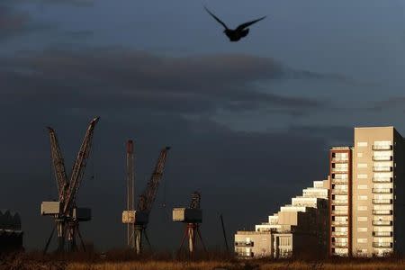 A seagull flies past cranes at BAE Systems Govan yard as the sun rises in Glasgow, Scotland January 16, 2014. REUTERS/Stefan Wermuth