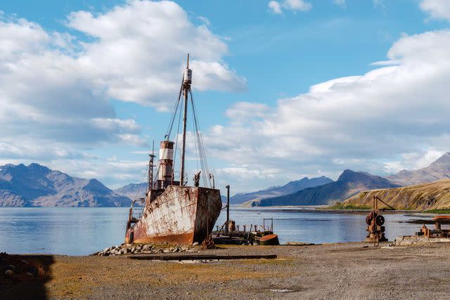 <p>Carol Sachs</p> The abandoned whaling station of Grytviken, on South Georgia.