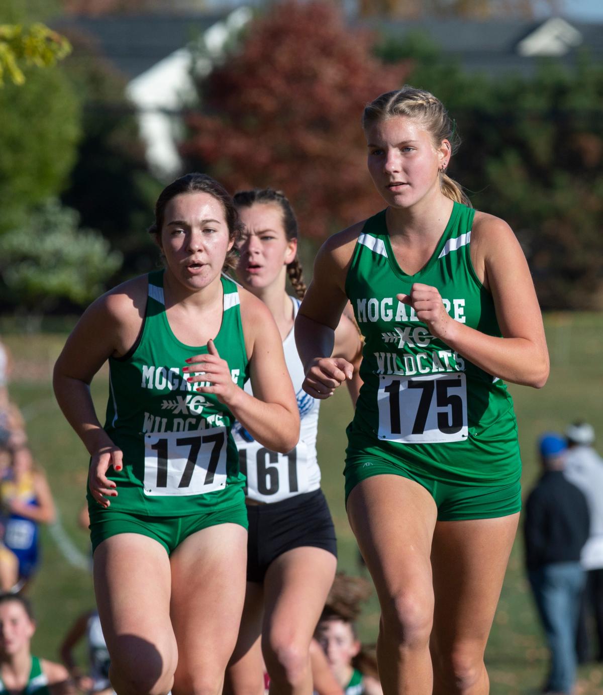 What to know OHSAA cross country regional championships at Boardman