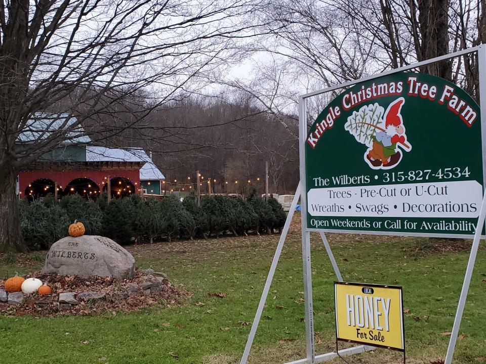 Kringle Christmas Tree Farm is open daily for pre-cut or U-cut Christmas trees. Visitors can also purchase other decorations, honey, maple syrup and even go on a horse-drawn sleigh or wagon ride.